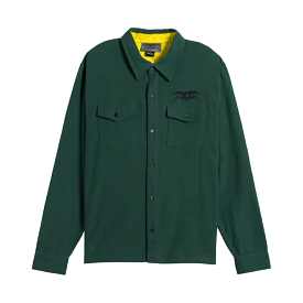 Anti Hero Basic Eagle Long Sleeve Shirt Green