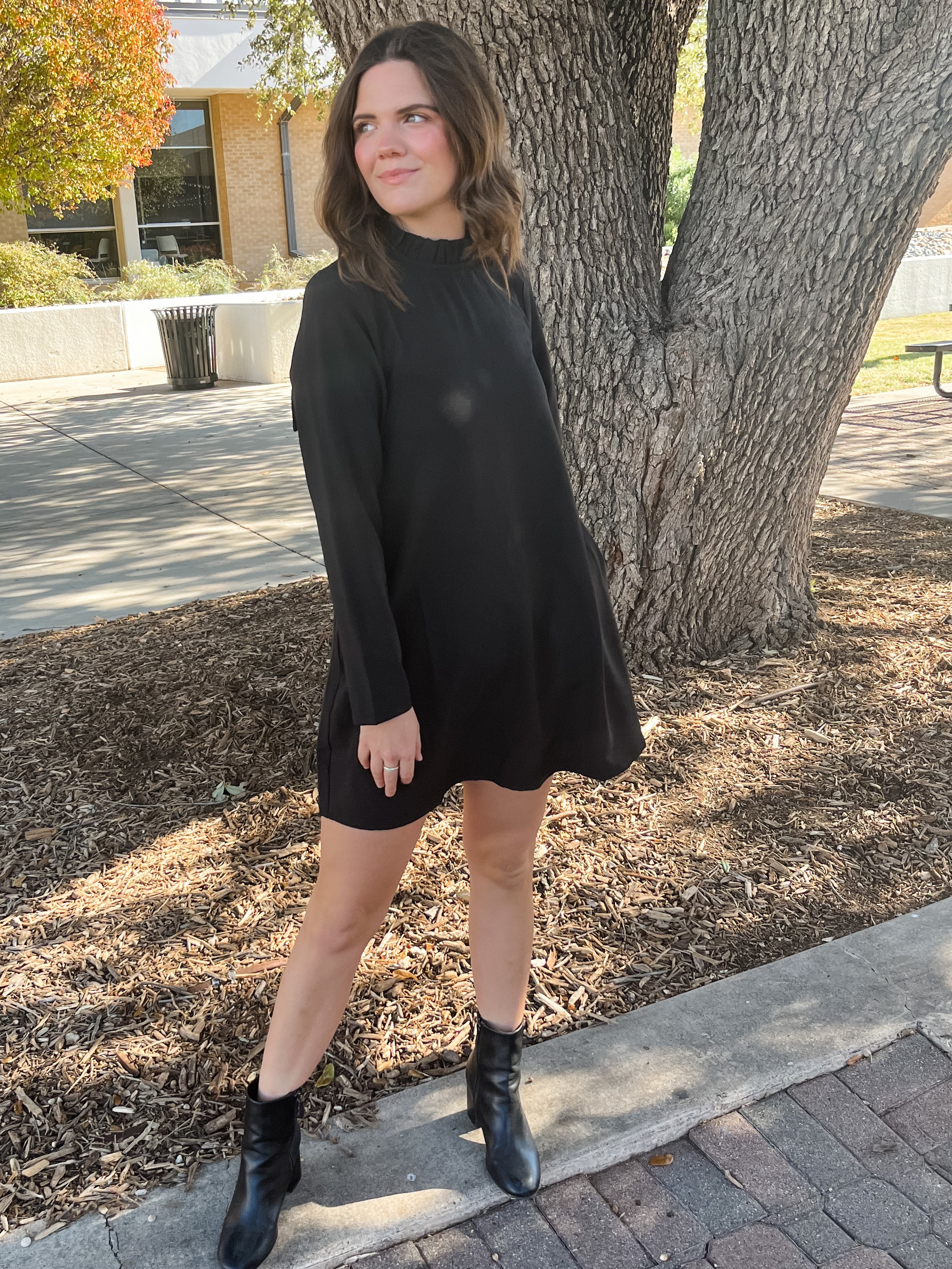 Blaine Ruffle Long Sleeve Mini Dress- Black