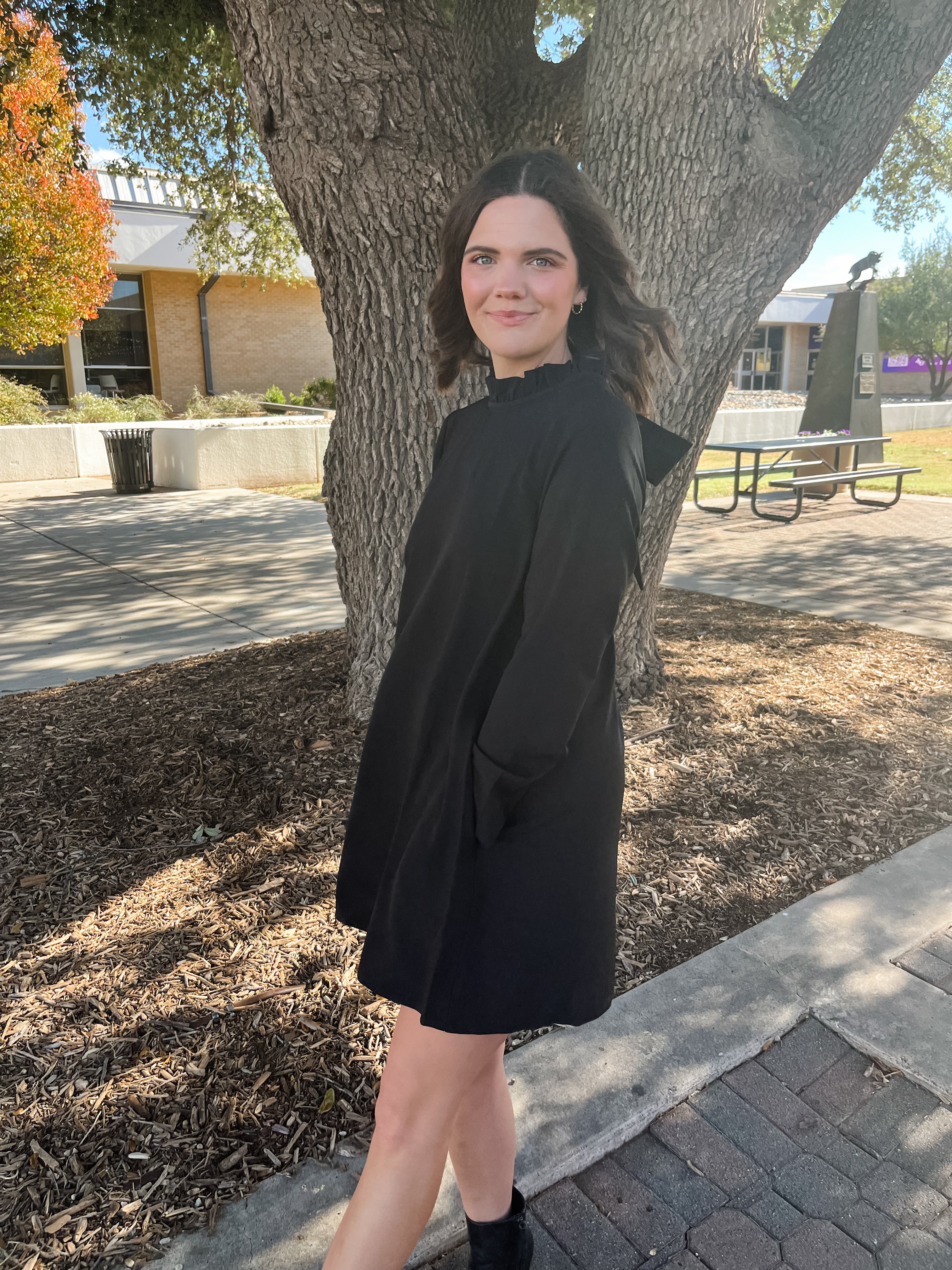 Blaine Ruffle Long Sleeve Mini Dress- Black