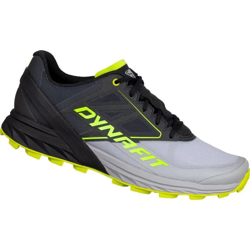 Dynafit  Alpine - Scarpe da trail running - Uomo