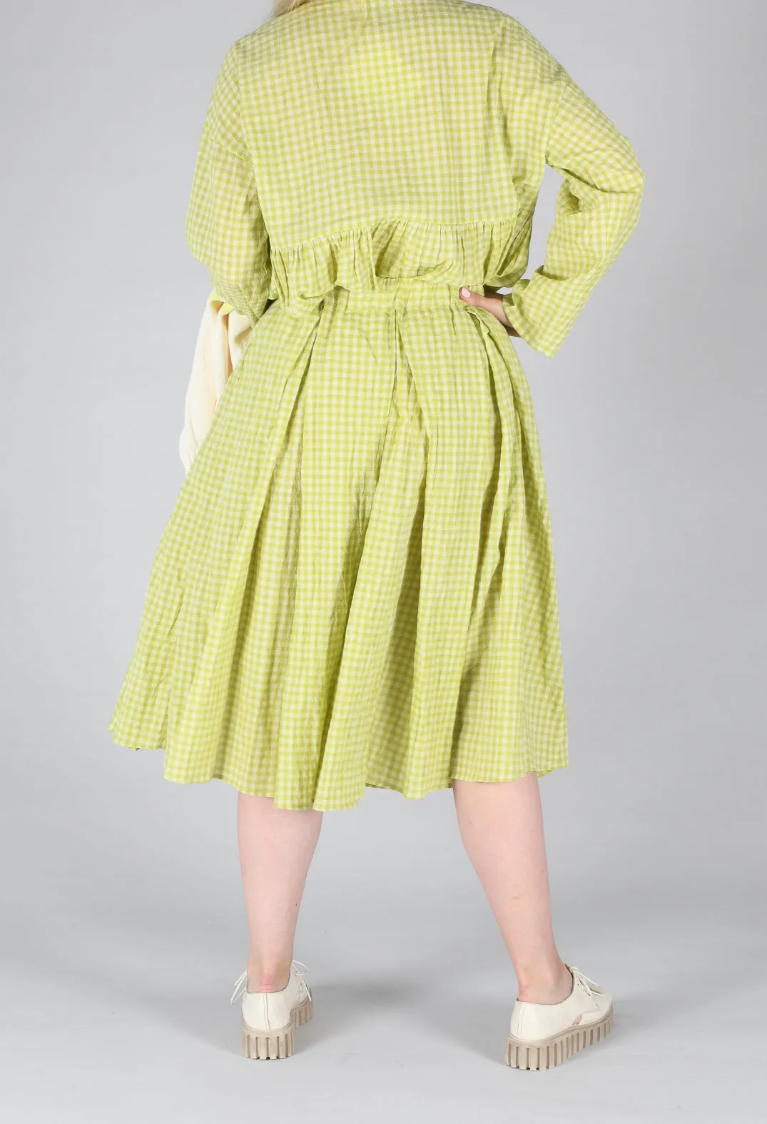 Gingham Skirt in Pistachio