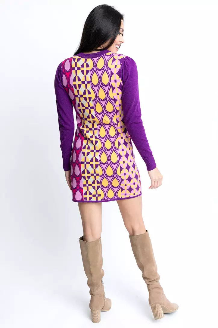 Novelty Sweater Dress