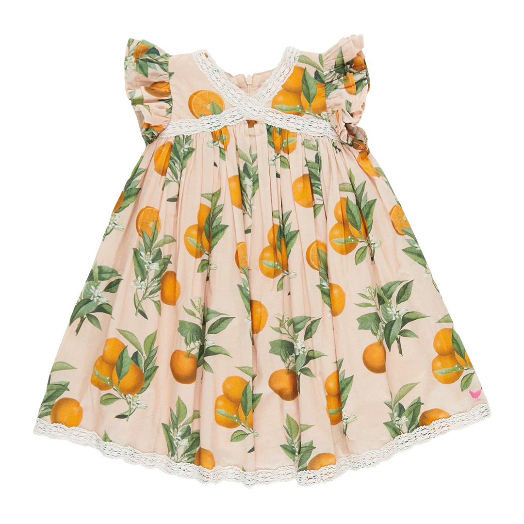 Pink Chicken Girls Katherine Dress - Pink Botanical Oranges