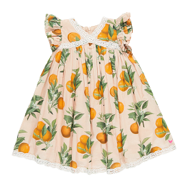 Pink Chicken Girls Katherine Dress - Pink Botanical Oranges