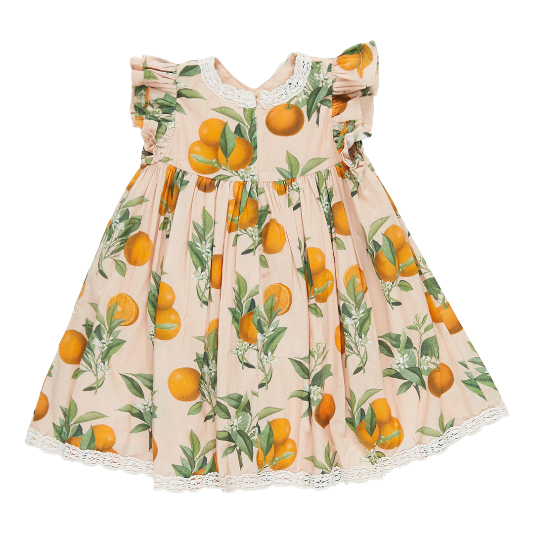 Pink Chicken Girls Katherine Dress - Pink Botanical Oranges