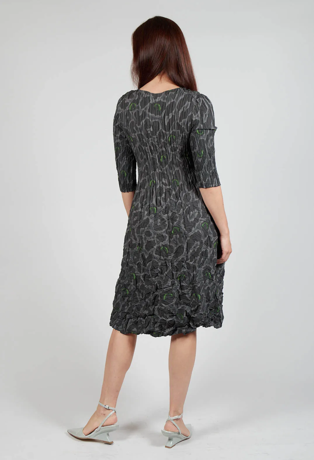 Three Quarter Sleeve Smash Dress in Eye of the Panther